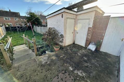 IMG 4388 T202511291229.jpeg