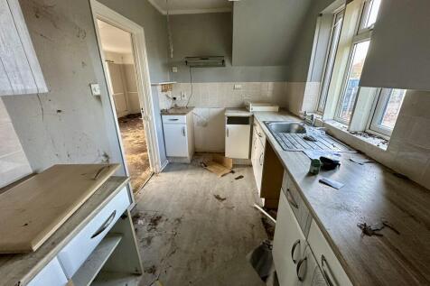 IMG 4416 T202511291257.jpeg