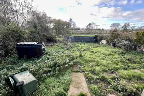 IMG 4417 T202511291257.jpeg