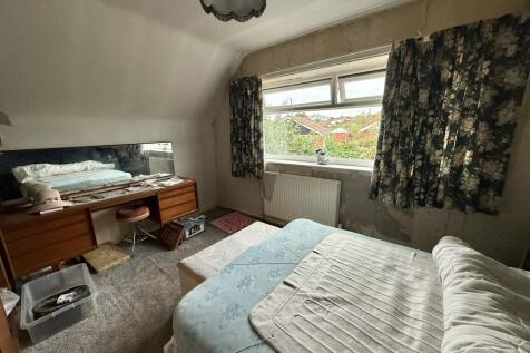 IMG 1078 T202510061659.jpeg