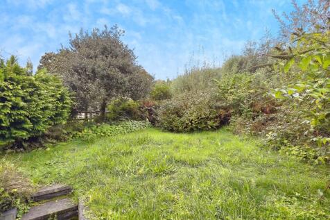 535d6d24-OBERON-04 T202509291401.jpg