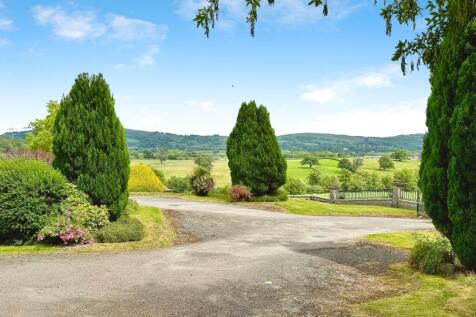 LLANNERCH6 T202510171854.jpeg