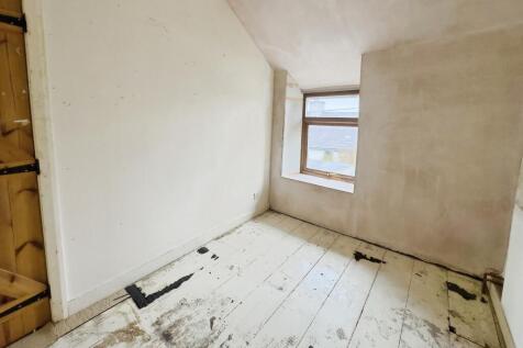 TYNARDD1 T202510241954.jpg