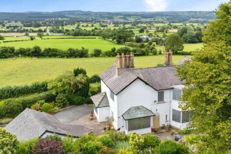 HWOOD3 T202511091947.jpg