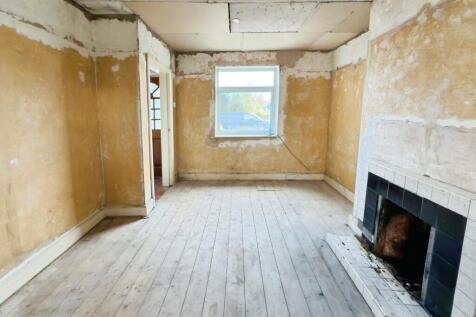 SEIRIOL5 T202511171744.jpg