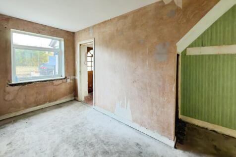 SEIRIOL4 T202511171744.jpg