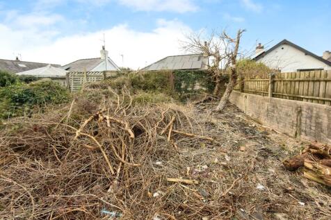 SEIRIOL6 T202511171744.jpg