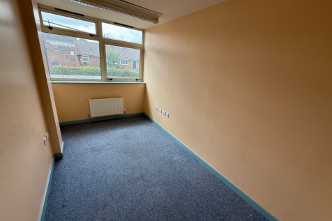 IMG 3378 T202510131904.png