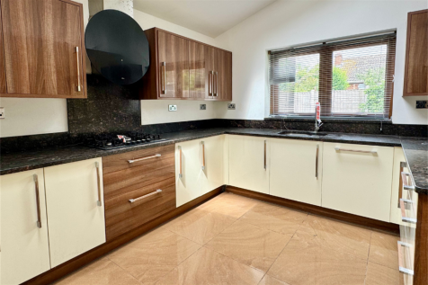 1 Tracy 1 T202510221434.png