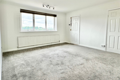 1 Tracy 8 T202510221439.png