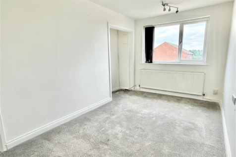 1 Tracy 10 T202510221439.png