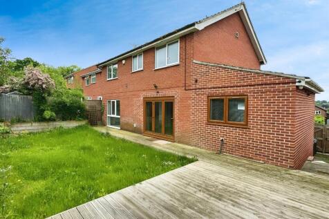 1 Tracy 13 T202510221439.jpeg