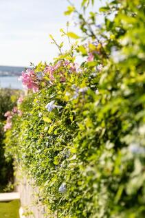 Property Image 69