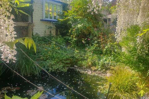 Pond