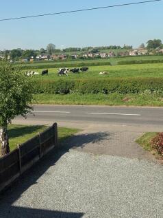 View from Master Bedroom