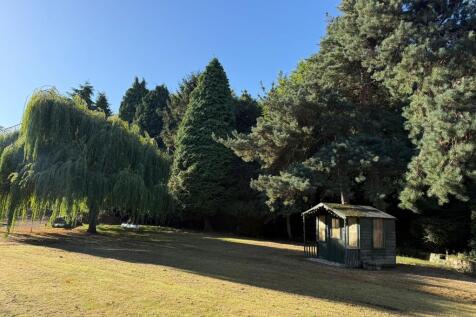 Garden 3.JPG