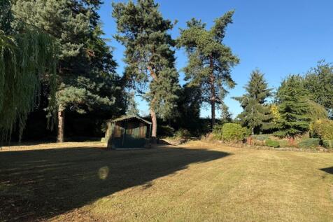 Garden 2.JPG