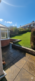 Generated Image November 19, 2025 - 7_28PM.png