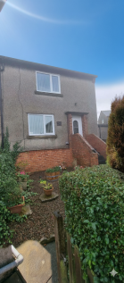 Generated Image November 19, 2025 - 7_30PM.png