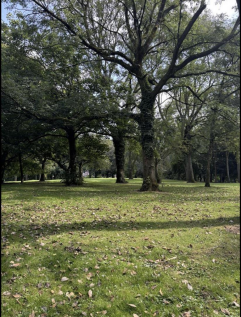 Buille Hill Park
