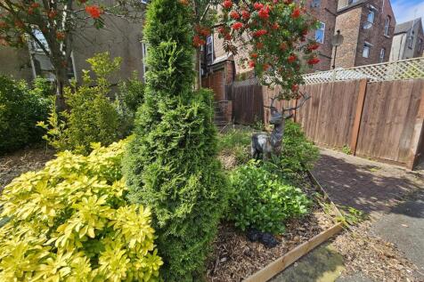 Communal Garden Summer 5.jpg