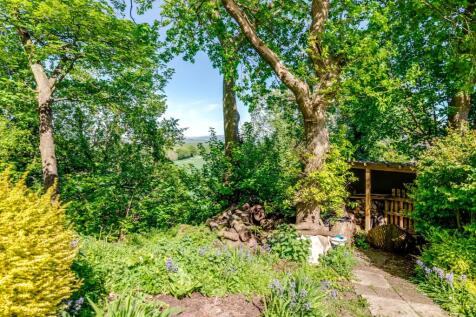 Property Image 45
