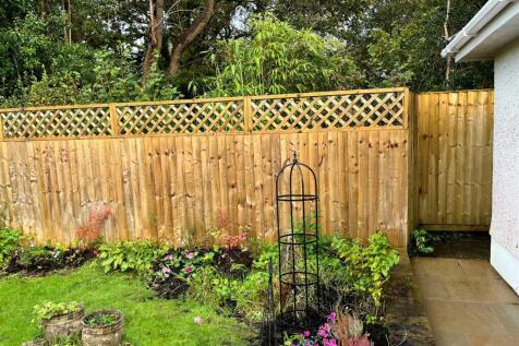 Fence.jpg