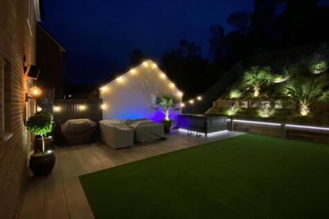 Garden at Night.jpg