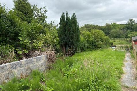garden2.jpg
