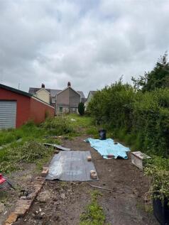 garden4.jpg
