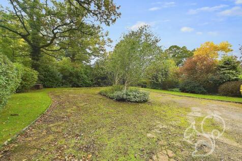 CAM01659G0-PR0217-STILL072.jpg