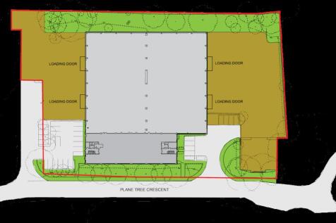 Plane Tree Crescent site  ground WL