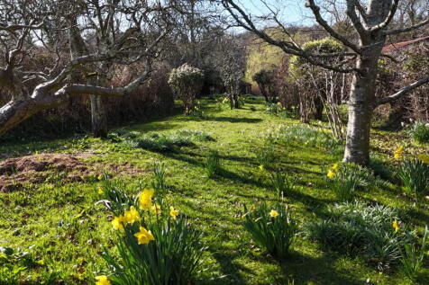 Property Image 27