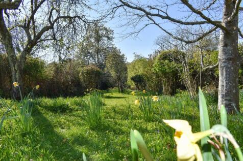 Property Image 28