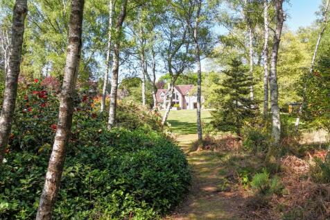 Property Image 28