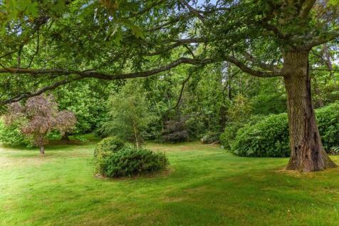 Property Image 41