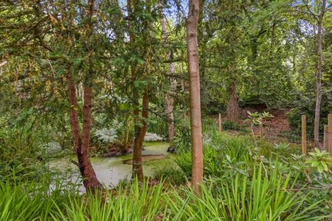 Property Image 42