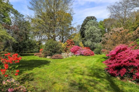 Property Image 31