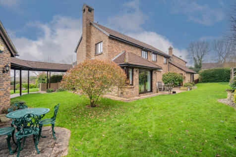 Property Image 19