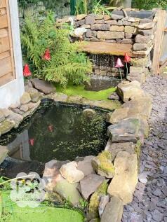 Garden - Pond