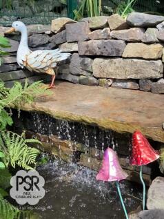 Garden - Pond