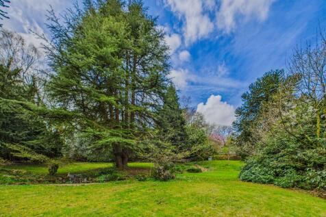 Property Image 56
