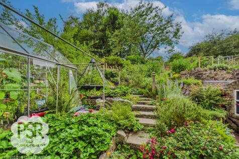 Potting and Greenhouse Area