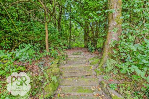 Into the Woodland Area