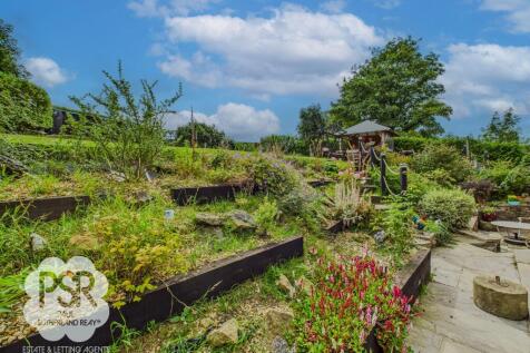 Rear Garden - Plantings Area