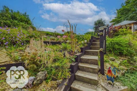 Rear Garden - Steps