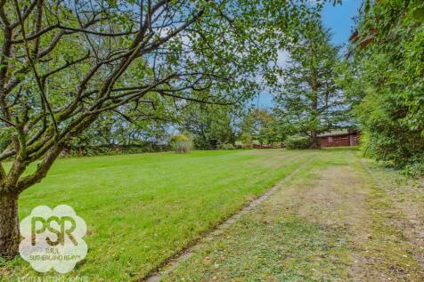 Rear Lawn