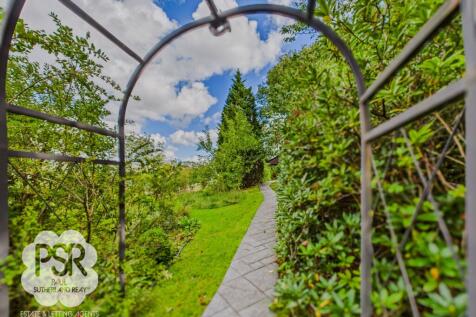 Through the Garden