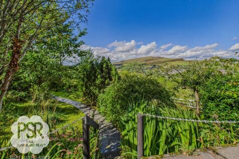 Looking Back over the Garden