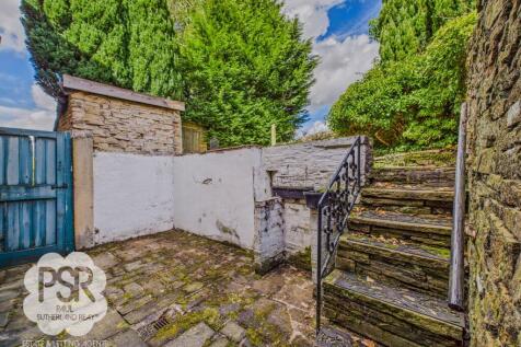 Rear Yard Area